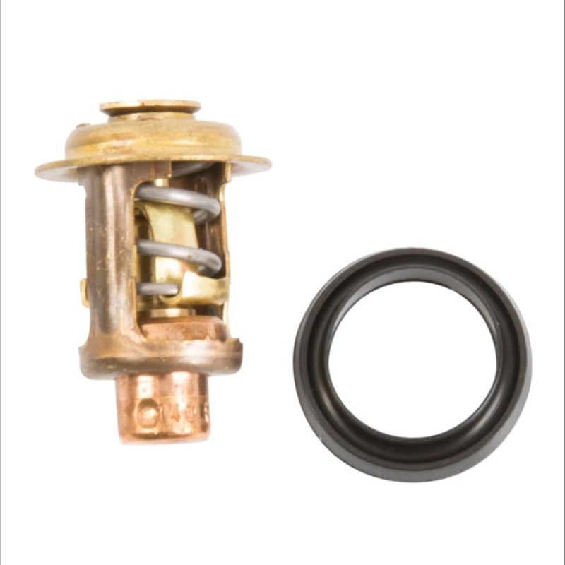 THERMOSTAT KIT MERCURY/MARINER
