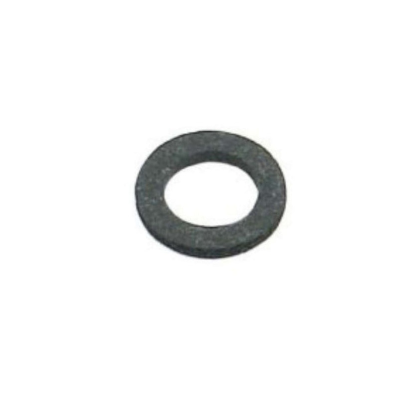 DRAIN PLUG GASKET SIERRA