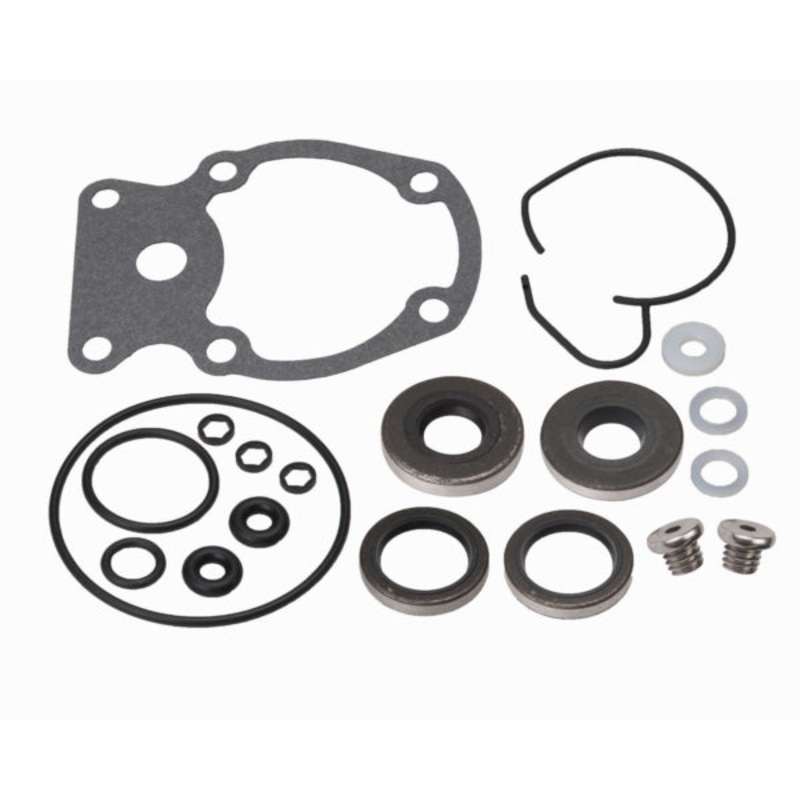 LOWER UNIT SEAL KIT