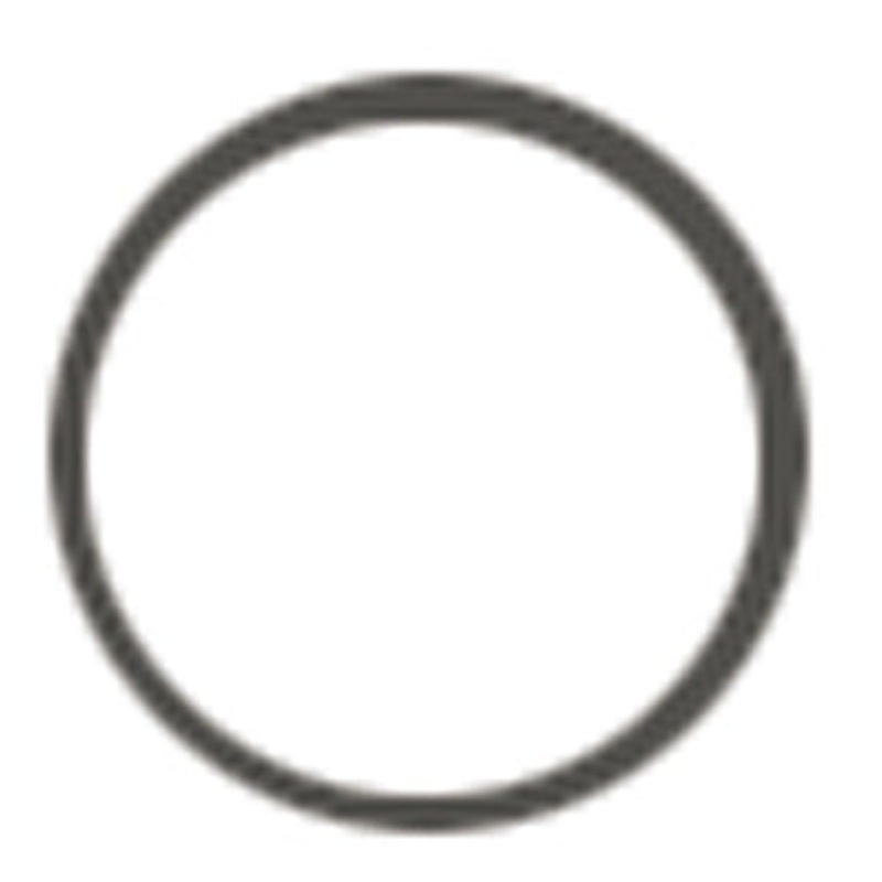 O-RING 331353 OMC SIERRA