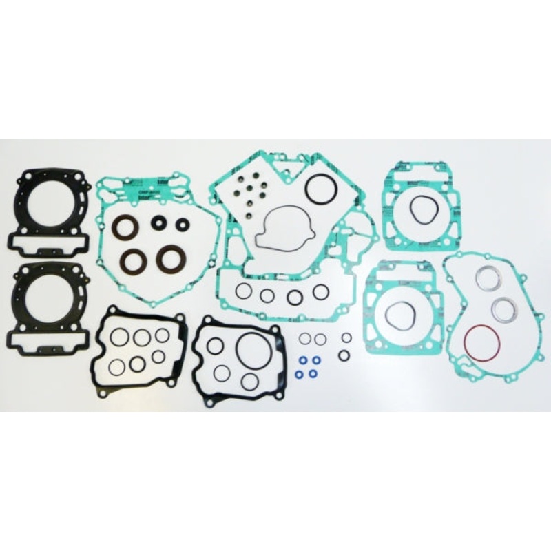 GASKET COMPL KIT W/OIL SEAL C-AM