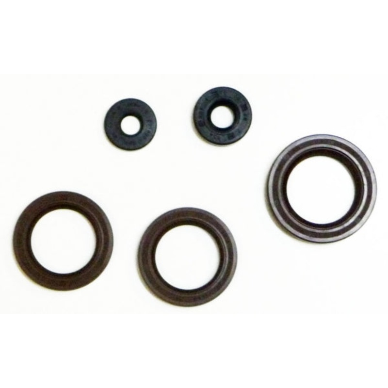 OIL SEAL KIT C-AM