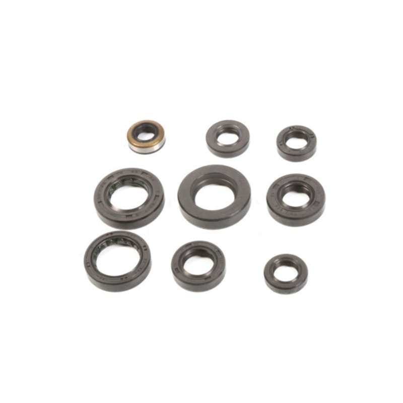 OIL SEAL KIT HON VERTEXWINDEROSA
