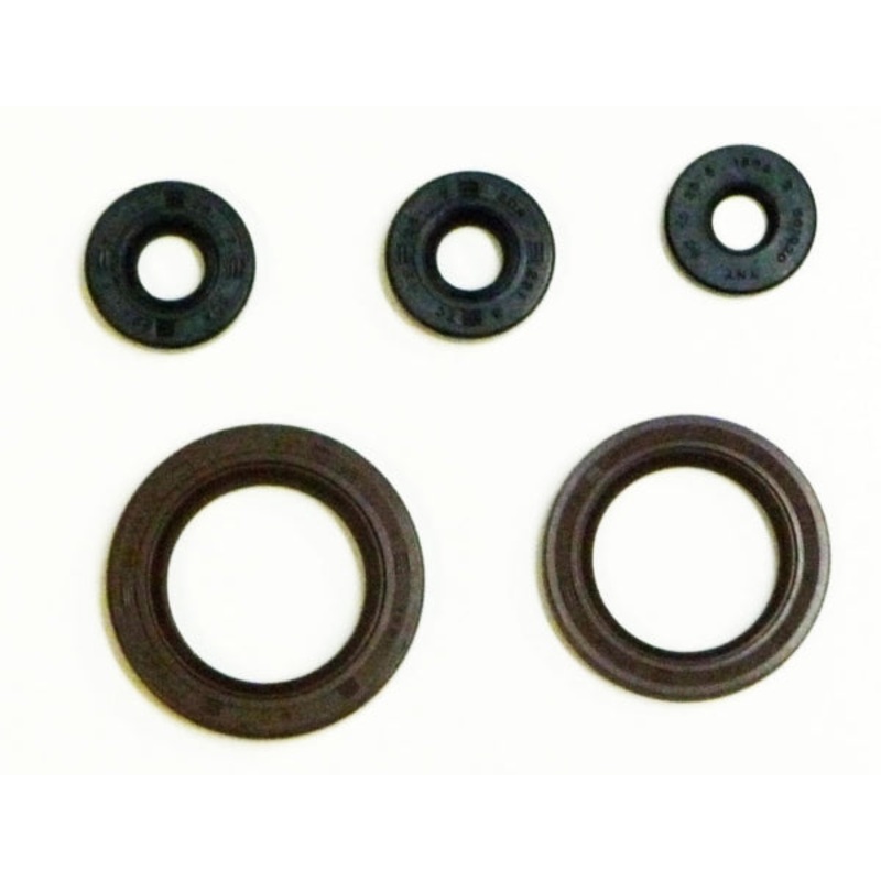 OIL SEAL SET C-AM WINDEROSA