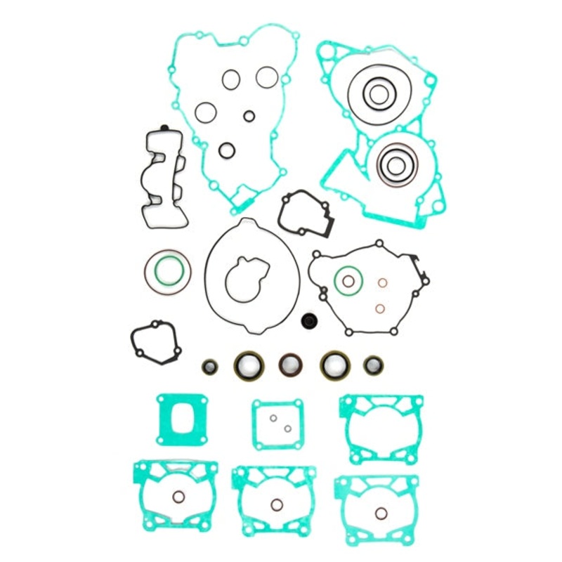 GASKET SET COMPL W/OIL SEAL WINDEROSA