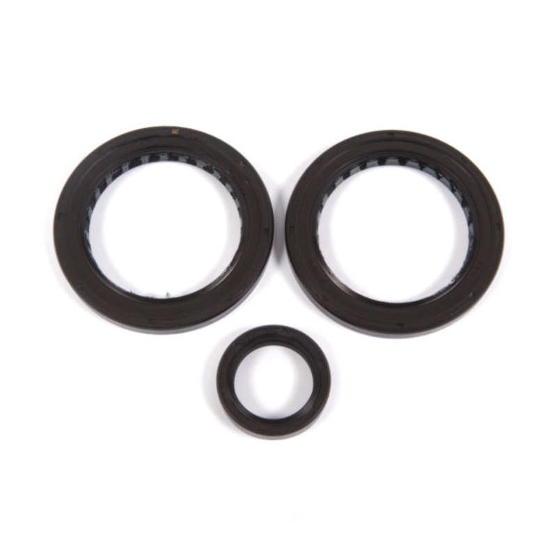 DIFFERENTIAL SEAL KIT RR POL ALLBALLS