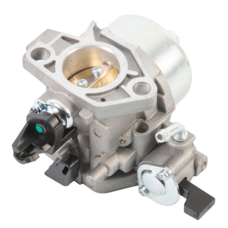 CARBURETOR ASSY (258337)