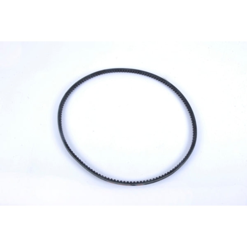 BELT TYPE BX 55 VERSATILE PLUS BERCOMAC