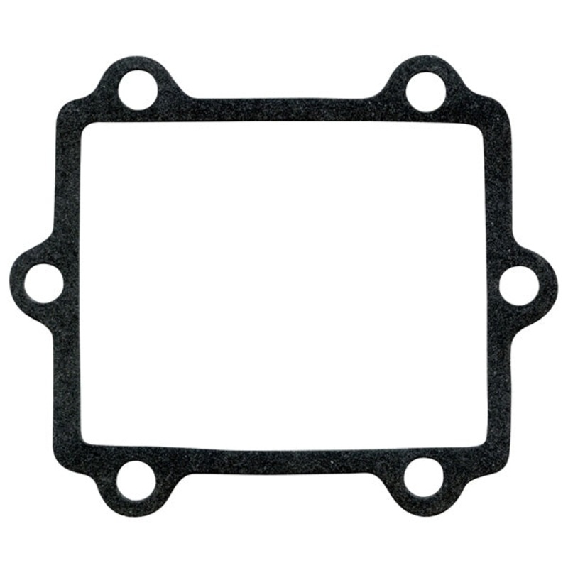 REED GASKET A/C WINDEROSA