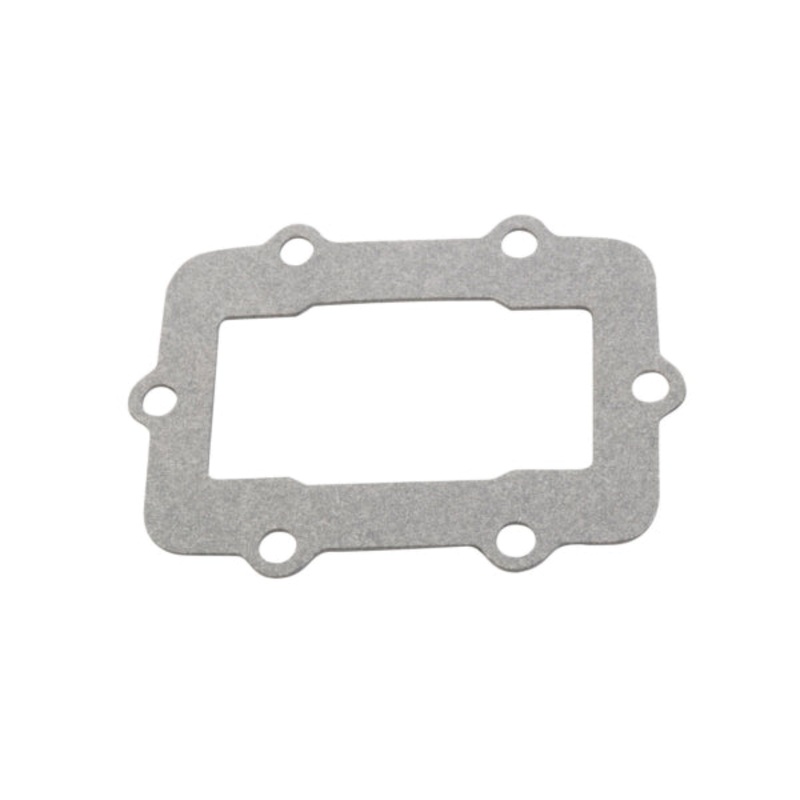 REED GASKET SKI-DOO WINDEROSA