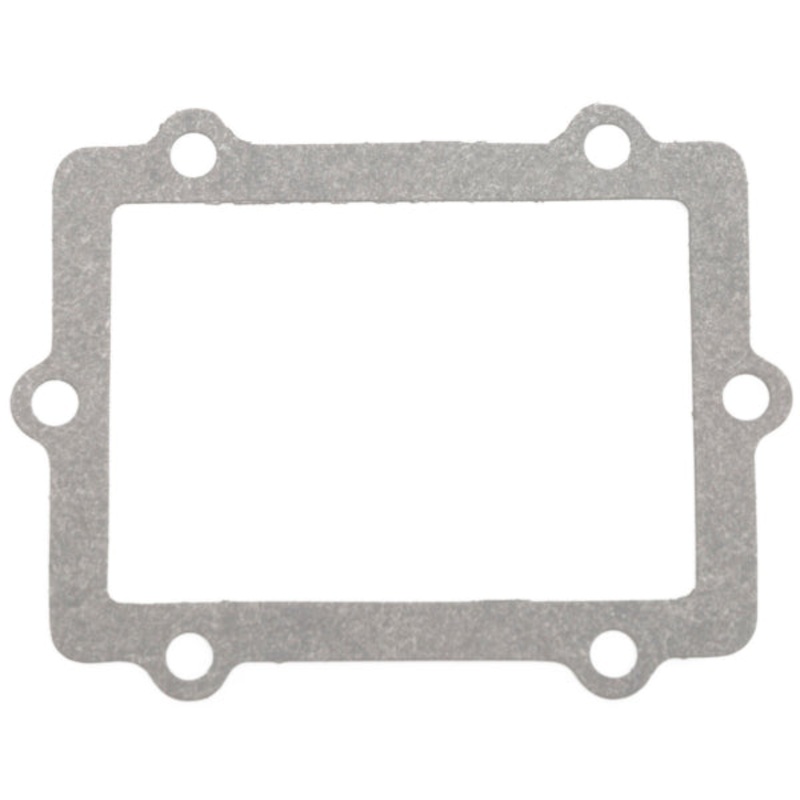REED GASKET POL WINDEROSA