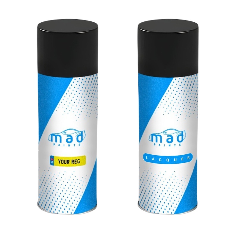 Colour Matched Aerosol Spray Can Kit – Paint & Lacquer